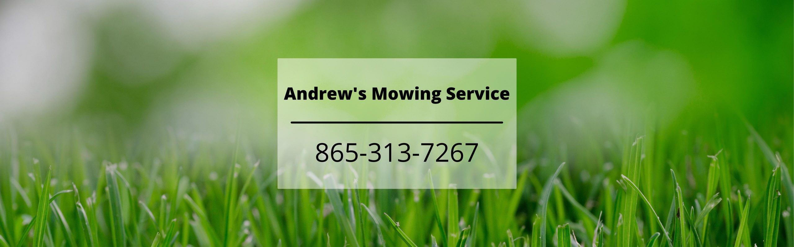 Andrews Mowing and Lawn Care Service in Knoxville TN