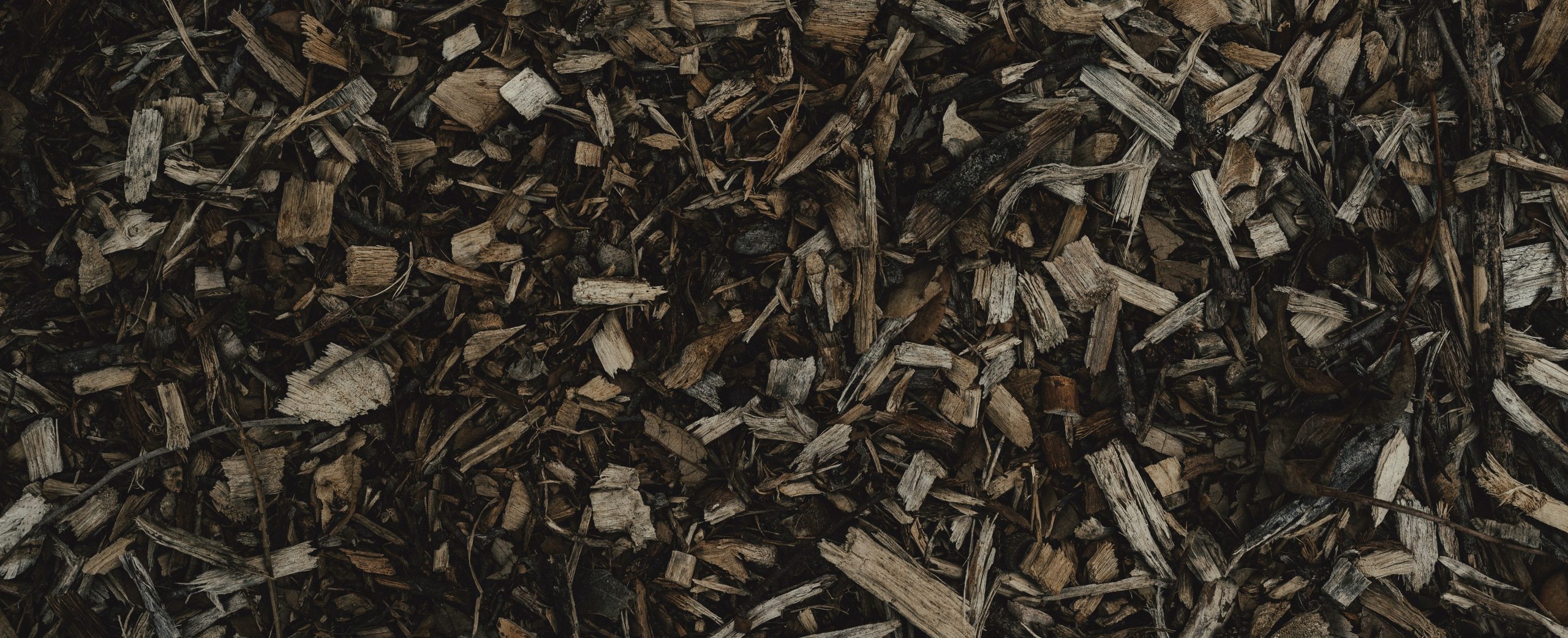 Why Mulch? Andrews Mowing and Lawn Care Service in Knoxville TN